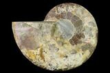Agatized Ammonite Fossil (Half) - Madagascar #139659-1